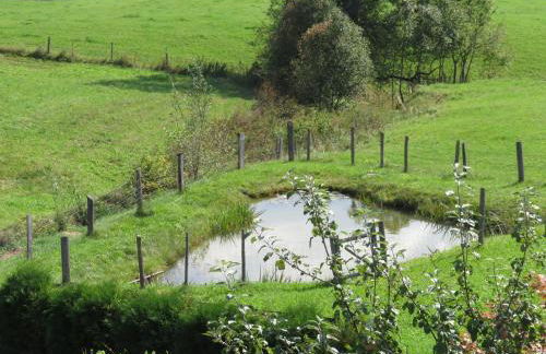 Ferienwohnungen Mooshäusl - Foto 11