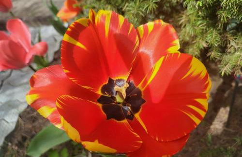 Haus am Walde - Foto 32