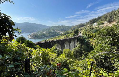 Casa Catita - Douro - Foto 21