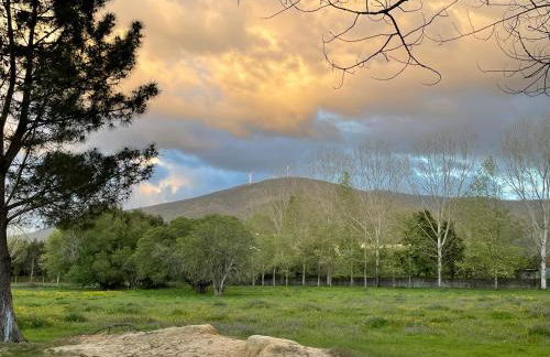 Quinta do Areal - Foto 34