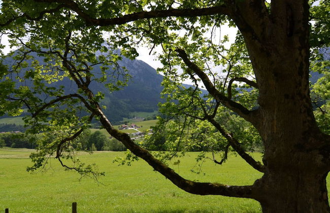 Traumhafte Wohnung im Berchtesgadener Land - Foto 77