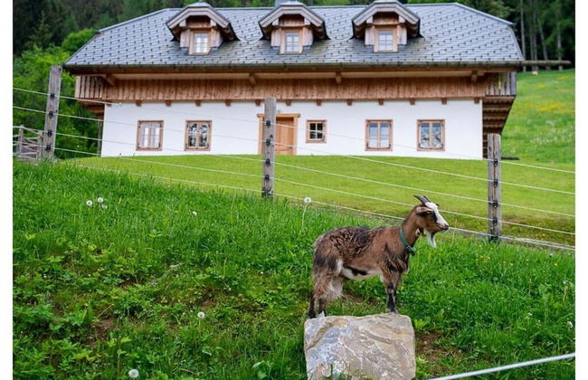 Infanglalm "attersee" - Foto 35