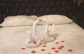 Appartement de luxe avec Jacuzzi au centre de Metz - Foto 10