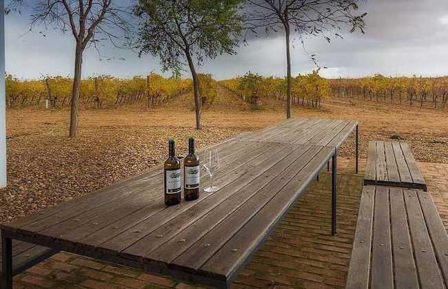 Visite des caves à vin de la Finca Montepedroso - Photo 1