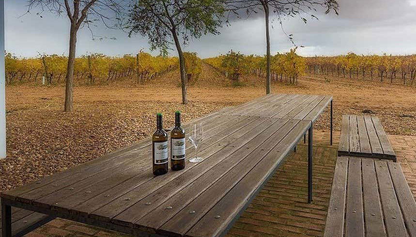 Vineyards at Finca Montepedroso