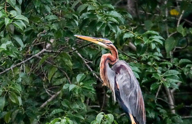 Casa Tangalle - Photo 9