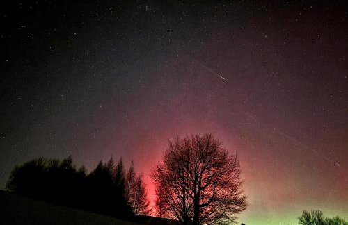 Kamienny Zakątek w Bieszczadach - Foto 38