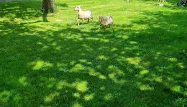 Ferienhof Bisdorf "Lunauhaus" Reihenhaus - Foto 3