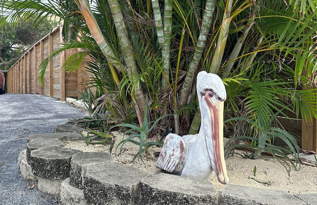 Coco Sands Studios - Foto 78