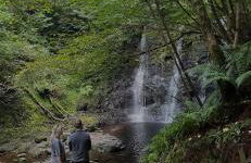 Tavnaghoney Cottages - Foto 35