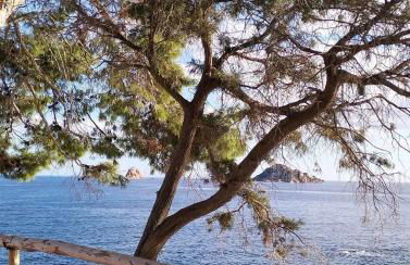 Il Canneto - Foto 20