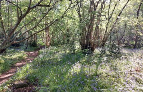 Treetops - Bright 2 Bed Flat - Super Location - Photo 5