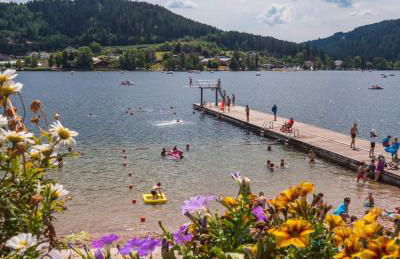 Nouveau Chalet M.META 12 pers sauna,jacuzzi,billard - Foto 48