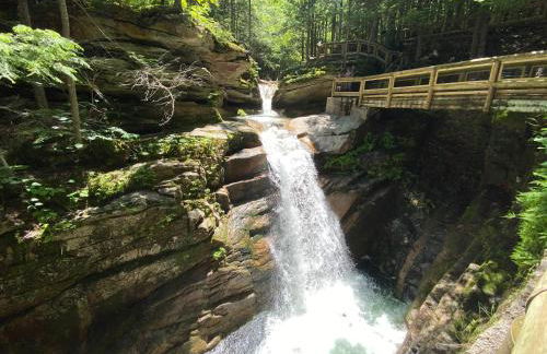 FC26 Bretton Woods home steps from the slopes - Foto 43