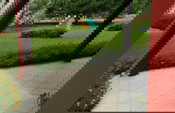 Tenuta Cavalieri - Foto 20