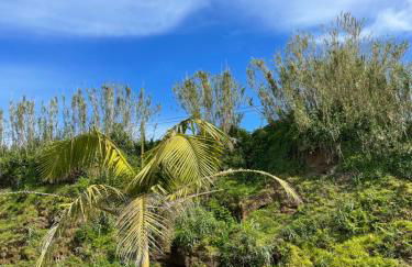 Vivenda Luxuosa - Photo 74