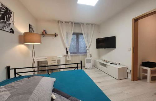 Souterrainwohnung - Foto 3