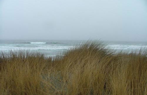 Paseo Del Mar - Foto 25