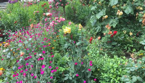 Apartment Gosberg - 90qm - Foto 4