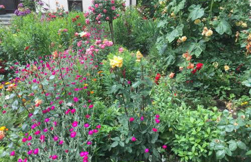 Apartment Gosberg - 90qm - Foto 4