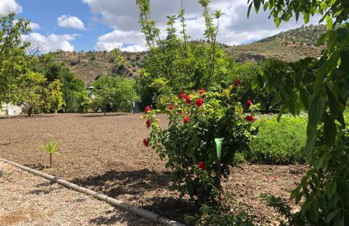 Casa de Campo Patricia - Foto 28