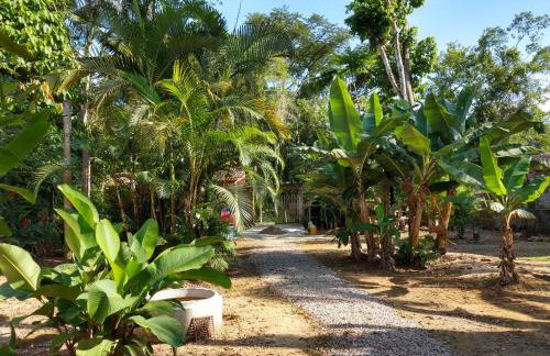 Suites Coqueiros Itamambuca - Foto 5