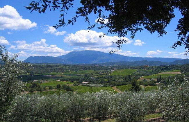 House in Vaison-la-romaine With Pool - Photo 22
