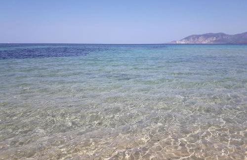 La Villa Tanca Piras - Foto 58