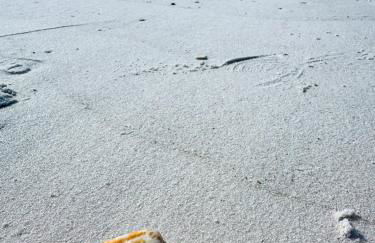 Blue Neptune at 5313 Sunset Avenue by Nautical Properties Vacation Rentals - Foto 69