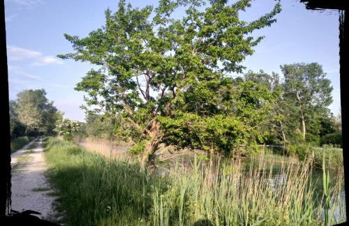 Residence Stradella Verde - Photo 27