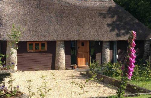 Unique Thatched Retreat near Salcombe and Beaches - Foto 11