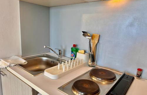 " Studio Zen Lourdes " 4 personnes - Centre Ville - Foto 27