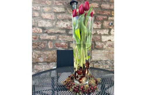 Holiday Home Pfalzliebe.anno1791 - Foto 45