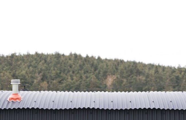 Dog Friendly Shepherd's Hut, Perfect for Couples - Photo 45