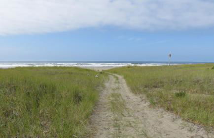 Beach Melody - Foto 23