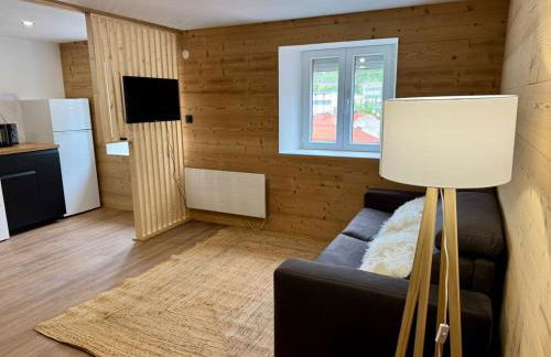 Appartement ambiance chalet avec vidéo-projecteur - Foto 6