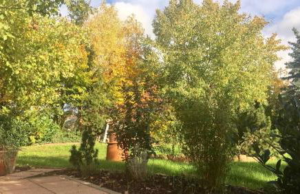 Ferienhaus Kleine Pfalz - Foto 12