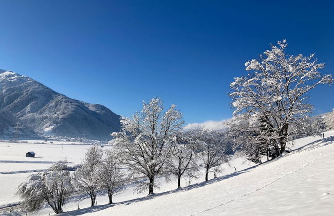 Holiday Apartment in Pinzgau - Photo 34