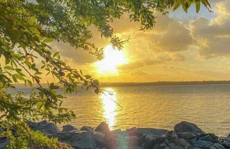 Residencial Kactus - Foto 15