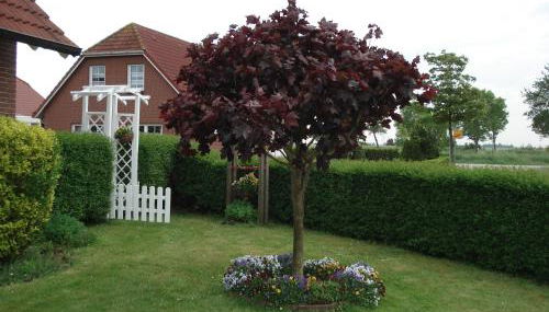 Haus Pilsumer Deichblick - Foto 4