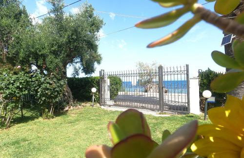 Sunset Oasis - Foto 20