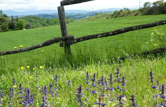 Panoramic Villa in Tuscany Rolling Hill, Well Connected, Everyday new Journey to - Foto 19