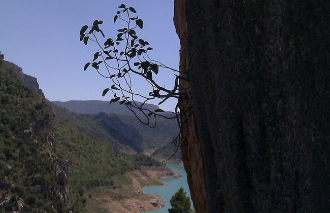Casa El Pelaire - Foto 49