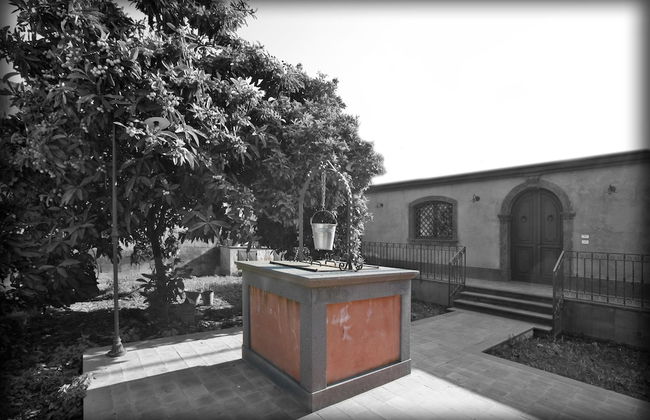 The Garden in the City Center - Foto 1