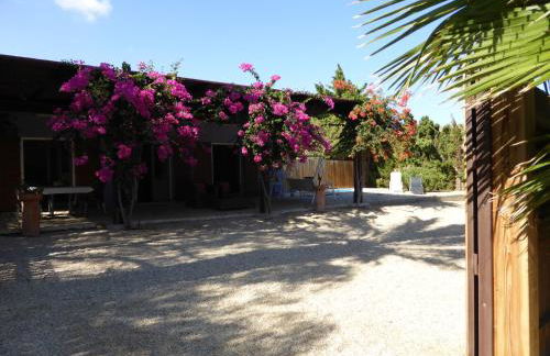 Cortijillo Violeta - Foto 12