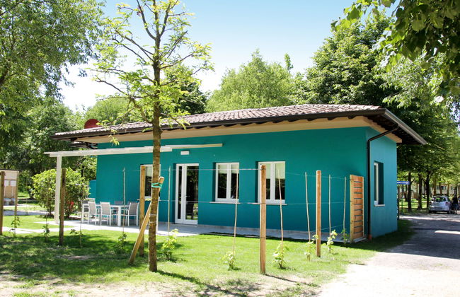 Fior di Sole - Foto 33