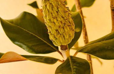 Casa VillaFlamenca - Foto 21