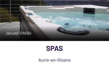 Auris les Gentianes station Alpe Huez - Foto 59