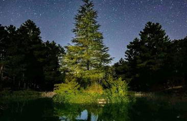 Chalet lujo en finca Zafiro lagunazo Riopar 5 o 3 dormitorios y 3 Baños Parque Natural del Rio Mundo - Foto 27