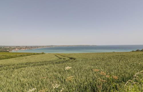 Silvermine House - Foto 60